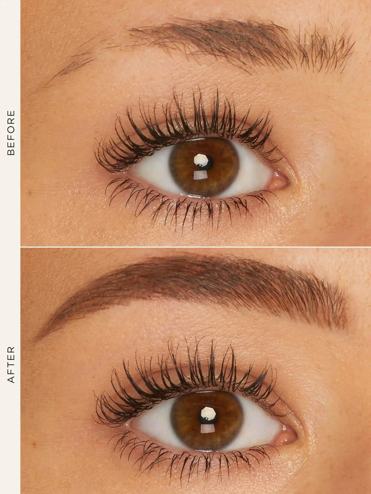 maracuja juicy brow